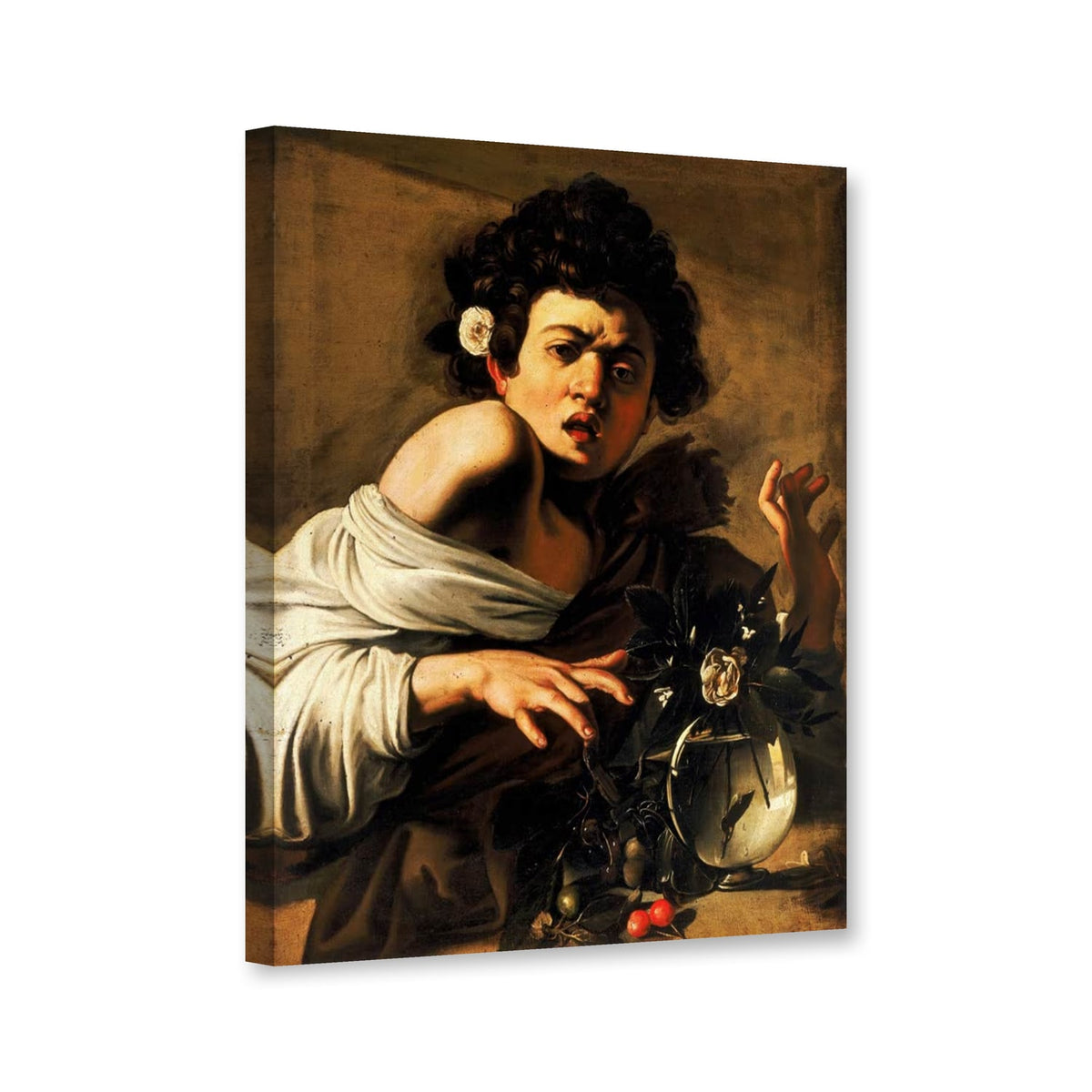 Knabe, von einer Eidechse gebissen, Florenz von Michelangelo Caravaggio als Leinwand – Perspektivansicht