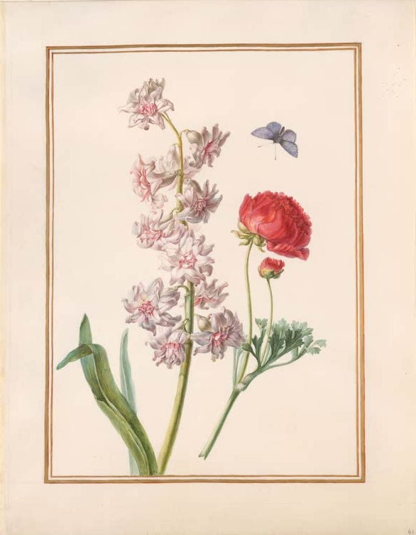 Madeleine Françoise Basseporte Rosa gefüllte Hyazinthe und rote Ranunkel mit Bläuling Kunstkopie