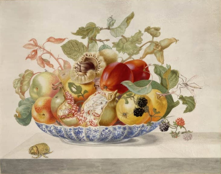 Maria Sibylla Merian Obstschale mit Brombeeren und Käfer Kunstkopie, blau-weiße Schale mit Äpfeln, Birne und Granatapfel