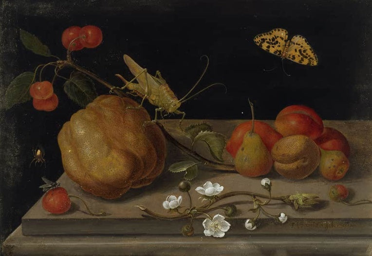 Maria Sibylla Merian Stillleben mit Früchten, Heuschrecke und Schmetterling Kunstkopie, Obst und Insekten vor dunklem Grund