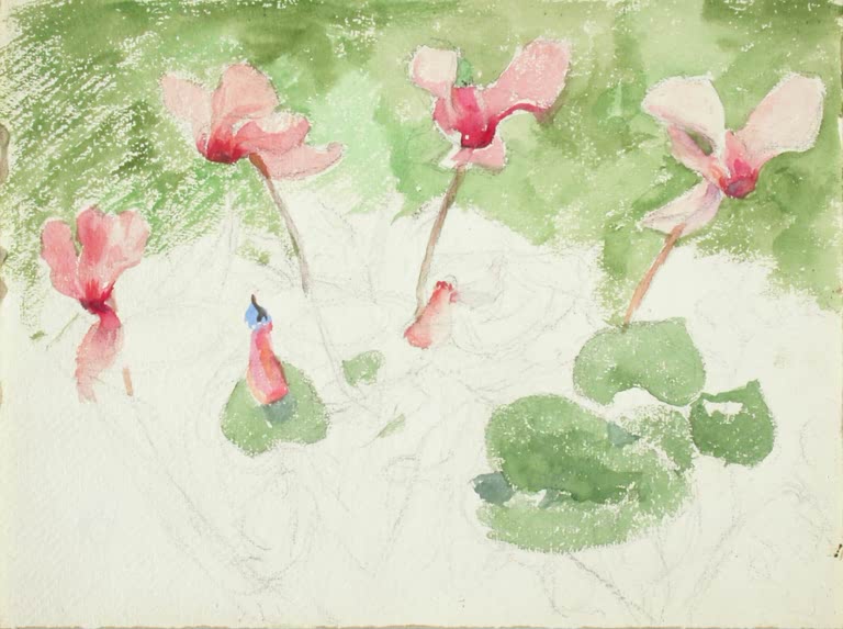 Maria Wiik Alpenveilchen Kunstkopie, rosa Blüten und grüne Blätter in Aquarell mit sichtbarer Bleistiftvorzeichnung