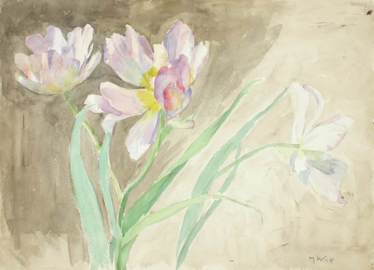 Maria Wiik Tulpen Kunstkopie, rosafarbene und weiße Tulpenblüten mit grünen Stängeln auf braunbeigem Grund im Aquarell