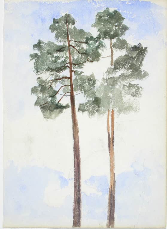 Maria Wiik Zwei Kiefern Kunstkopie, zwei hohe Kiefern mit grünen Kronen und rötlichen Stämmen vor hellblauem Himmel