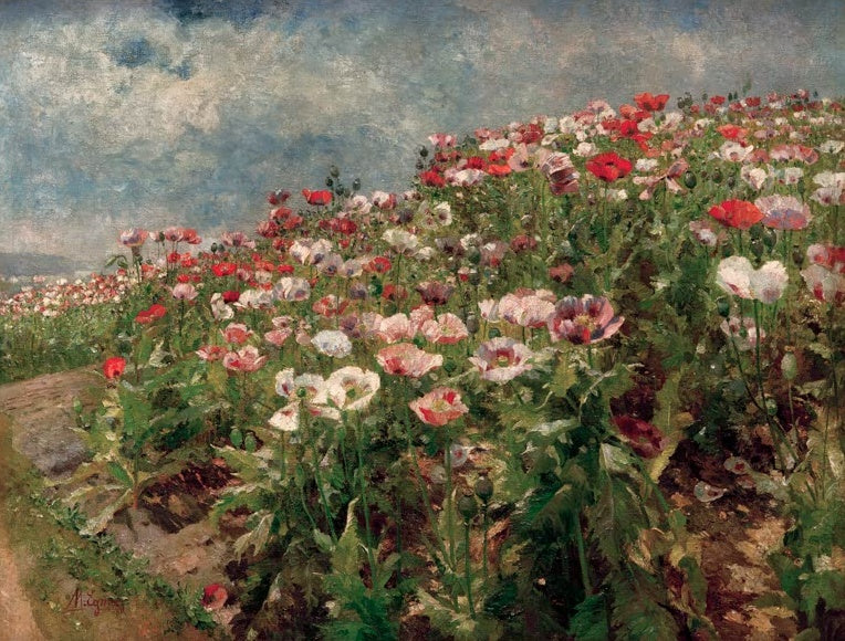 Marie Egner Blühender Mohn Kunstkopie, rotes und rosa Mohnfeld unter bewegtem Wolkenhimmel