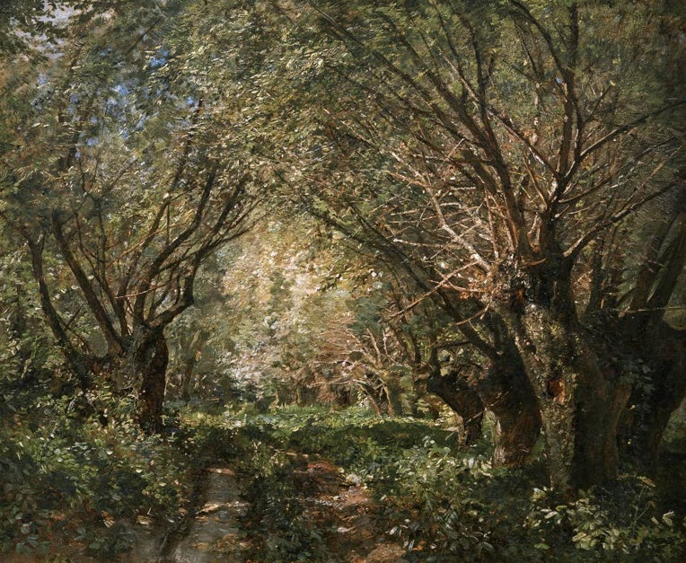 Marie Egner Weidenallee in Stillfried an der March Kunstkopie, sonniger Pfad unter alten Kopfweiden