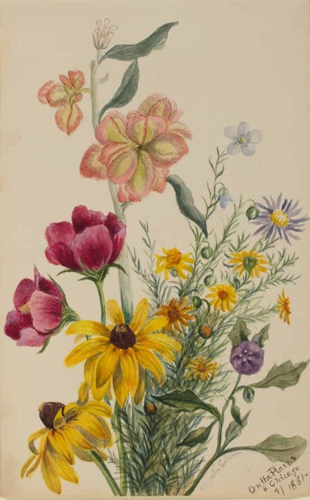 Mary Vaux Walcott Blumengruppe Kunstkopie, bunter Blumenstrauß mit gelben Korbblüten, roten Blüten und feinem Laub