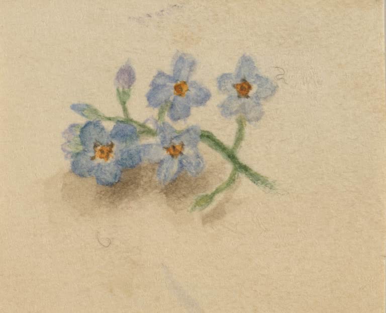Mary Vaux Walcott Kleine blaue Blüten Kunstkopie, kleine blaue Blüten mit orangefarbenen Mitten auf cremefarbenem Papier