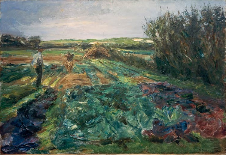 Grüne Kohlfelder mit Arbeitern vor Dünenhorizont – Max Liebermann Das Kohlfeld Kunstkopie