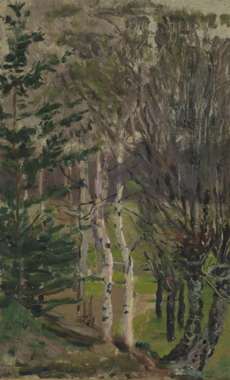 Birken und Fichte im Frühlingswald, Weidenstämme rechts – Nicolai Astrup Landschaft im Frühling Kunstkopie
