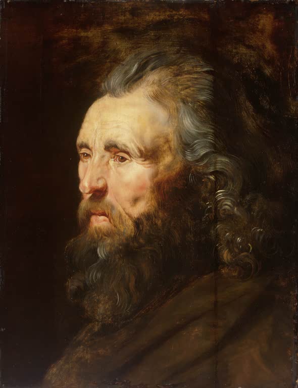 Peter Paul Rubens Kopfstudie eines bärtigen Mannes Kunstkopie, Profil eines älteren Mannes mit grauem Haar und Bart