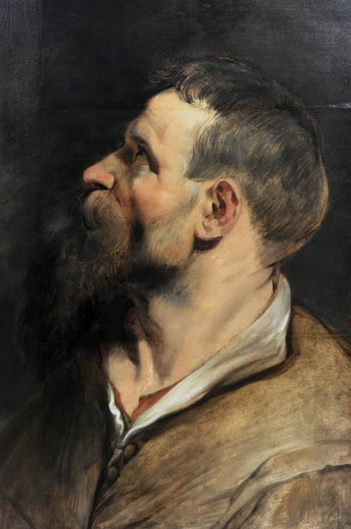 Peter Paul Rubens Studie eines Mannes im Profil Kunstkopie, bärtiger Mann blickt im Profil nach oben, heller Kragen