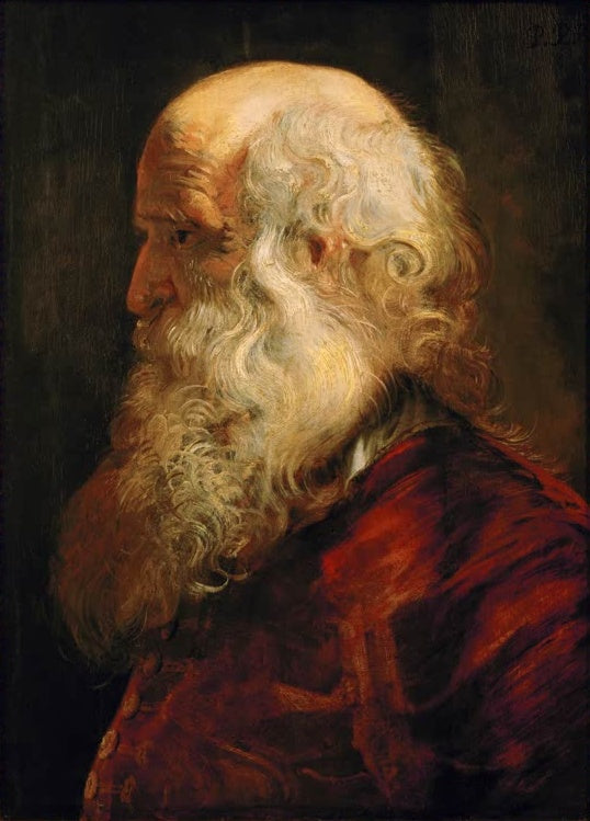 Peter Paul Rubens Studienkopf eines Greises Kunstkopie, alter Mann mit weißem Lockenhaar und Bart im Profil, roter Rock