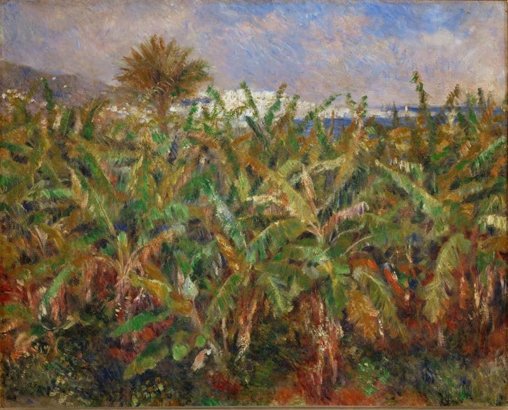 Dichtes Feld mit Bananenstauden und Palme vor der Küste – Pierre-Auguste Renoir Champ de bananiers Kunstkopie