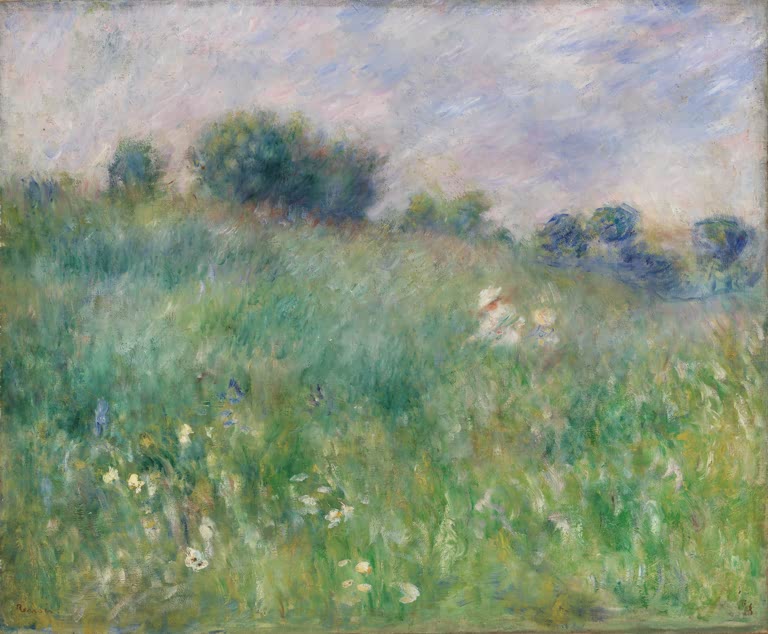 Grüne Wiese mit Wildblumen unter Wolkenhimmel – Pierre-Auguste Renoir Die Wiese Kunstkopie