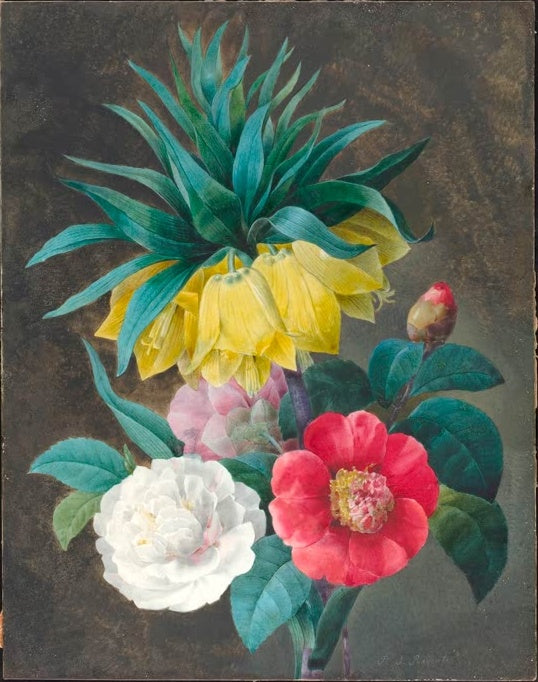 Pierre-Joseph Redouté Vier Pfingstrosen und eine Kaiserkrone Kunstkopie, gelbe Kaiserkrone über weißer, rosa und roter Blüte