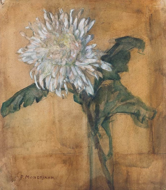 Piet Mondrian Chrysantheme Kunstkopie, große weiße Blüte mit dunkelgrünen Blättern auf warmem ockerbraunem Grund