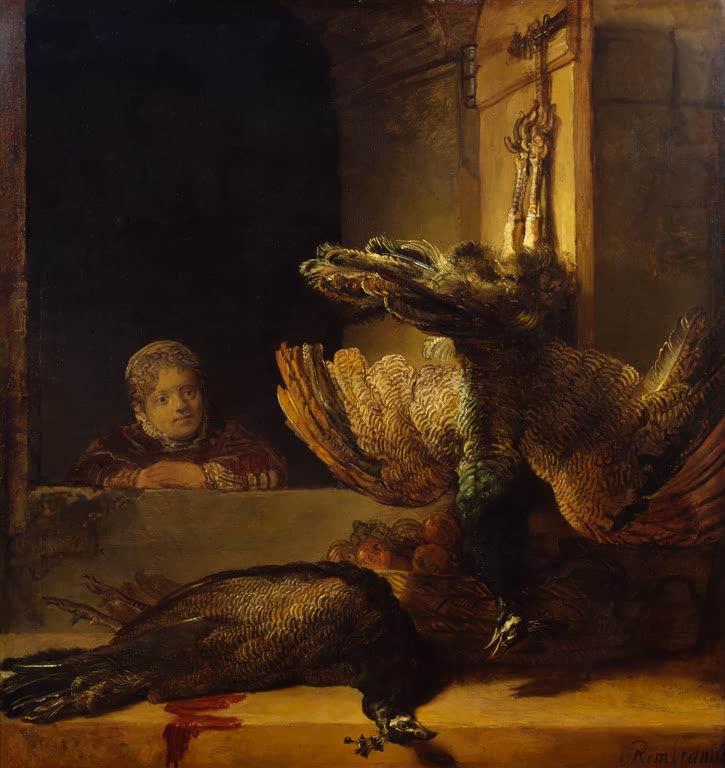 Rembrandt Stillleben mit zwei toten Pfauen und einem Mädchen Kunstkopie, Pfauen auf Steinbank