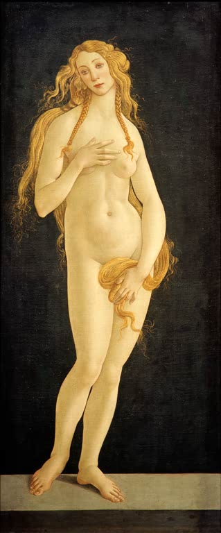 Nackte Venus mit langem blondem Haar steht vor dunklem Grund – Sandro Botticelli Venus Kunstkopie