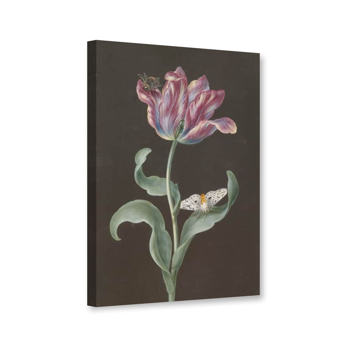 Tulipa Gesneriana mit Schmetterling und Biene von Barbara Regina Dietzsch als Leinwand – Perspektivansicht