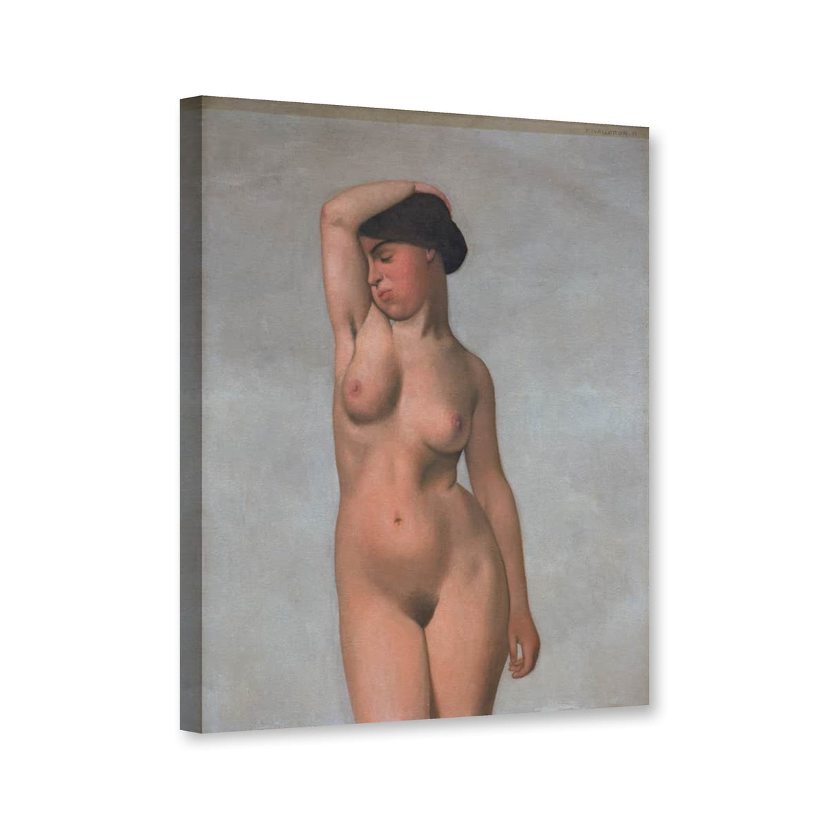 Weiblicher Akt mit erhobenem Arm von Félix Vallotton als Leinwand – Perspektivansicht