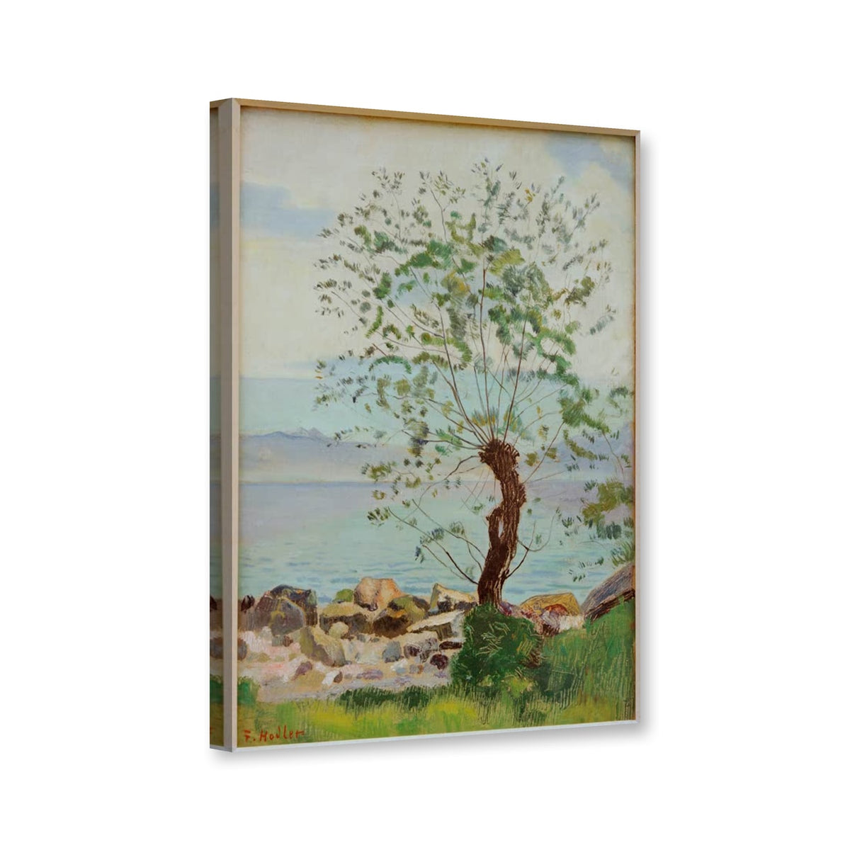 Weidenbaum am See von Ferdinand Hodler als Leinwand – Perspektivansicht