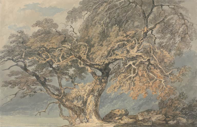 William Turner Ein großer Baum Kunstkopie, mächtiger Baum mit ausladender Krone unter stürmischem Himmel