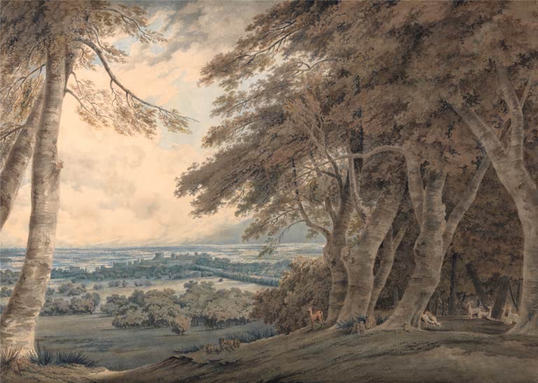William Turner Windsor, Blick unter Buchen auf das Schloss Kunstkopie, hohe Buchen mit Rotwild und weite Ebene