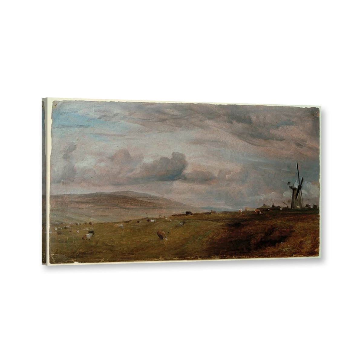 Windmühle bei Brighton, Schafweide von John Constable als Leinwand – Perspektivansicht